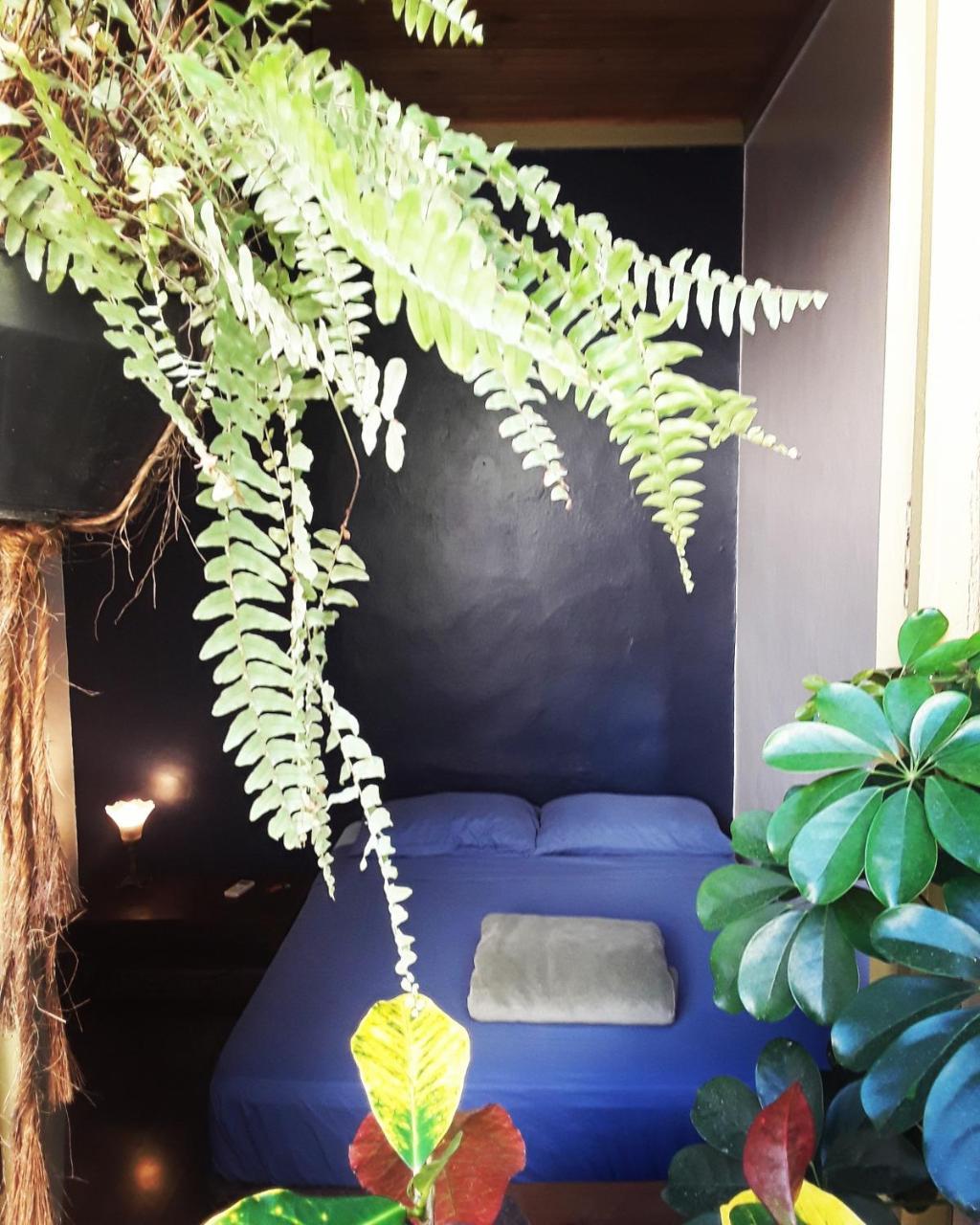 Pousada Casa Frida Pelotas Luaran gambar