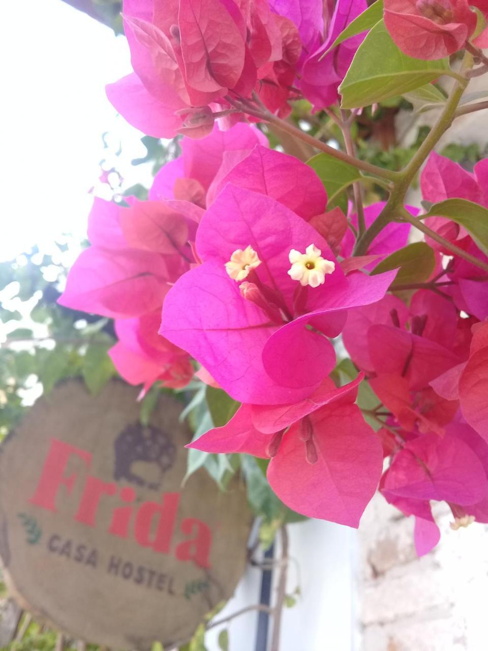Pousada Casa Frida Pelotas Luaran gambar